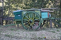 VBS_5634 - C'è un mare di velluto verde! E tu che sognavi di andare lontano... Quanta meraviglia, quì!